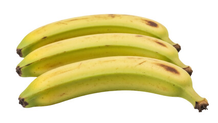 Isolated Plantain fruits, a nutritious tropical fruit, source of carbohydrate and minerals © Elena