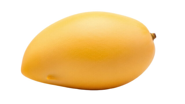 Isolated Alphonso mango fruit on display for healthy eating and cooking food themes. Tropical delicacy
