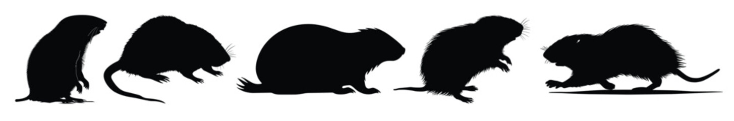 mole silhouette black clipart set  © Zainab
