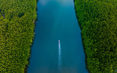 aerial drone top view mangrove forest and tourist boat , Phang nga bay, Thailand