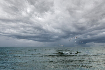 Dramatic stormy dark grey sky over cold ocean seascape with flying gulls with copy space
