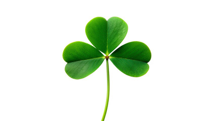 A Single Green Shamrock Leaf with Natural Texture and Vibrant Color, Isolated on Transparent Background