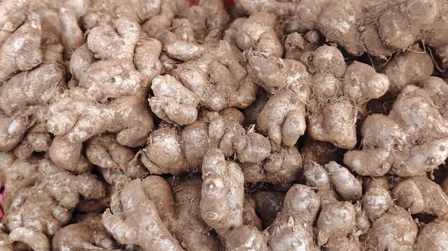 fresh black galingale in basket