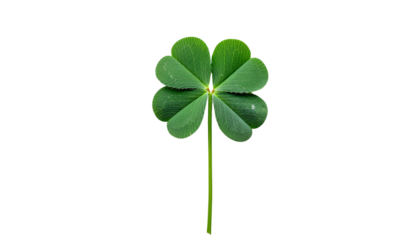 Single Vibrant Green Four-Leaf Clover, Lucky and Festive, Isolated on Transparent Background