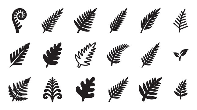 Collection of black fern leaf icons and frond silhouettes in various graphic styles, including a koru fiddlehead, presented as a botanical design element set for nature themes