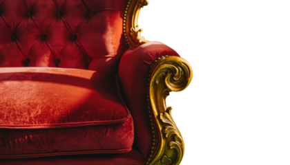 Opulent vintage armchair with cloud pattern and decorative gold details in bright setting