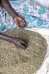 Woman sorting processed coffee in a dry mill in Kivu, western province, Rwanda