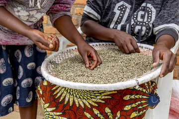 Women sorting processed coffee in a dry mill in Kivu, western province, Rwanda
