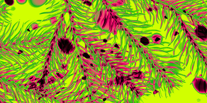 peacock feather on a green background