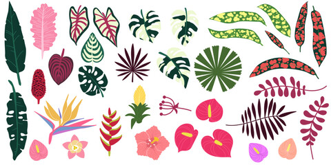 Tropical jungle leaves. Abstract summer plant. Beach leaf, graphic jungle. Drawing forest monstera palm and banana, hibiscus flower. Nature element for background. Vector design illustration set