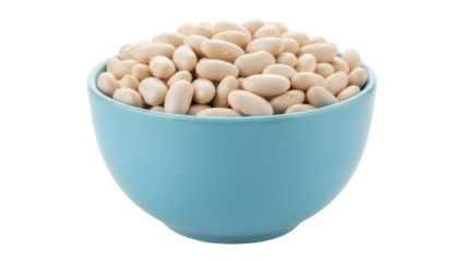 Isolated lima beans in turquoise bowl for vegan protein, healthy vegetarian legume diet
