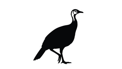 Fototapeta premium Black silhouette of a guinea fowl standing isolated on white background