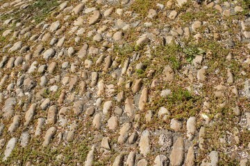 An overhead shot showcases a pebble-strewn ground, partially overtaken by verdant vegetation, creating a mosaic of stone and nature's touch.