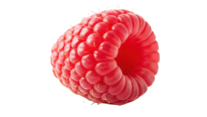 Isolated red raspberry fruit with dimpled surface, offering natural sweetness and refreshment