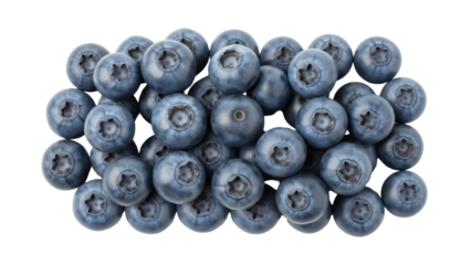 Isolated pile of fresh blueberries in studio shot with diffused lighting; summer fruit