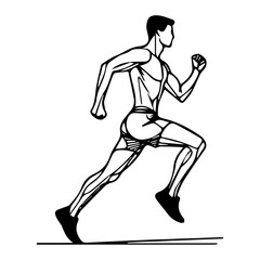Anatomical Line Drawing of a Male Runner in Full Sprints Motion