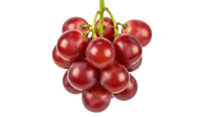 Isolated red grapes on the vine ready to eat, fresh and juicy, for sale or consumption
