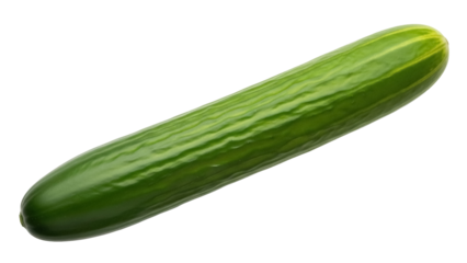 Isolated fresh cucumber, a healthy green vegetable used in salads and many other dishes