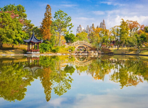 Autumn landscape of a Chinese park. China. Wenzhou.