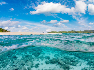 Obraz premium 嘉比島の美しい白砂ビーチの半水面撮影。 美しいサンゴ礁と熱帯魚の群れ。 嘉比島沖縄県 島尻郡慶良間諸島座間味島-2025 沖縄本島から40km西方の諸島。30以上の島嶼群全体が国立公園に指定。珊瑚礁の青い海と白い砂浜は世界屈指の美。貴重な動植物が多数生息。 