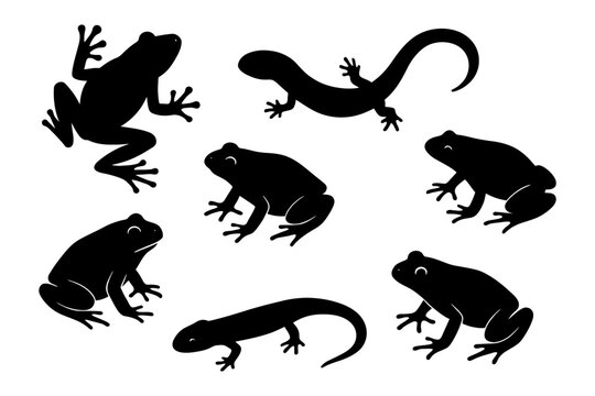 Silhouette collection of frogs and salamanders - amphibian shapes and poses.