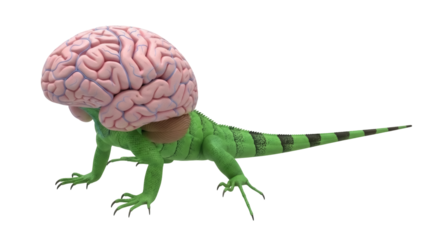 Isolated creature depicting an iguana with a human brain, a surreal fantasy concept