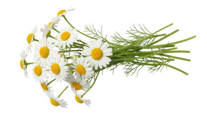 Isolated cheerful bouquet featuring daisies with bright yellow centers and green sprigs