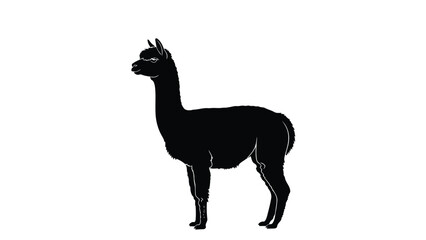 Naklejka premium Black silhouette of a llama standing in profile against a isolated on white background