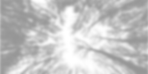 Shadow of a forest on a transparent background
