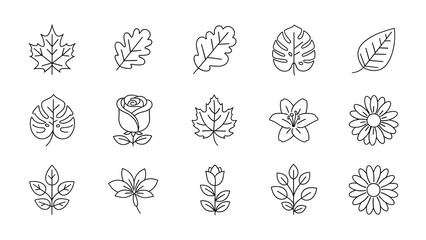 Minimalist Handdrawn Branch and Leaf Line Art Botanical Illustration Element on White