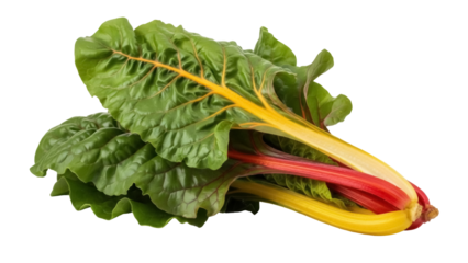 Isolated swiss chard colorful vegetable, also known as bright lights chard, fresh food ingredient