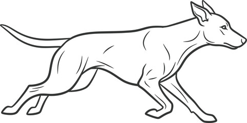 Obraz premium Running Dog Line Art Illustration Black and White Simple Style