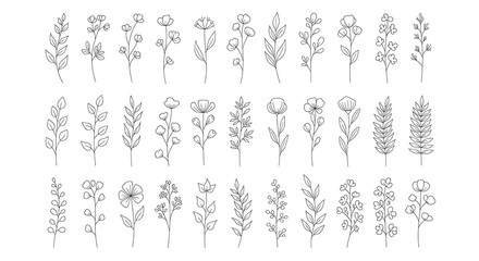Fototapeta premium Collection of hand drawn floral elements in black and white