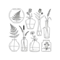 Obraz premium Delicate line art illustration of various potted and cut plants in unique glass containers for