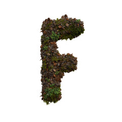 Forest Moss 3D Alphabet or PNG Letters