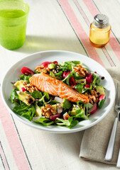 Nutritious Green Salad with Fried Salmon, Avocado and Nuts