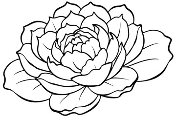 peony silhouette line art vector illustration
