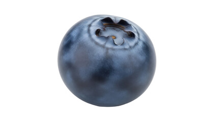 Isolated ripe blueberry fruit showing its calyx, on display for commercial food use