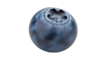 Isolated ripe blueberry fruit showing its calyx, on display for commercial food use