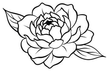 peony silhouette line art vector illustration