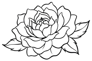 peony silhouette line art vector illustration