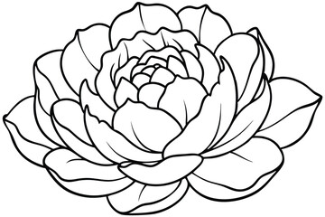 peony silhouette line art vector illustration