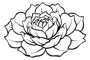 Obraz premium peony silhouette line art vector illustration