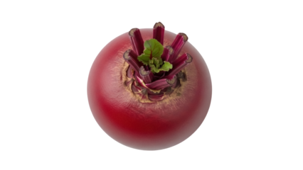 Isolated red beet root vegetable still life with green leaves, fresh organic ingredient