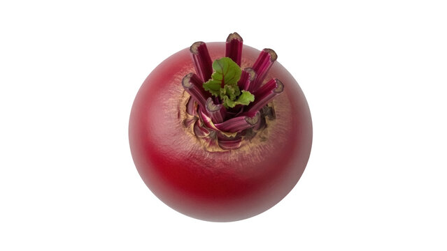 Isolated red beet root vegetable still life with green leaves, fresh organic ingredient