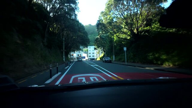 Driving On Green Hillside Road Wellington New Zealand 13.12.2025