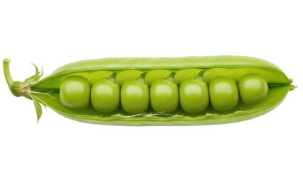Isolated opened pea pod with raw fresh green garden peas inside, healthy edible plant