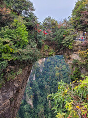aerial view, asia, avatar, avatar mountains, china, chinese, forest, geo, geology, geopark, green, hunan, hunan province, karst, landmark, landscape, misty mountains, mountain, mountains, national for