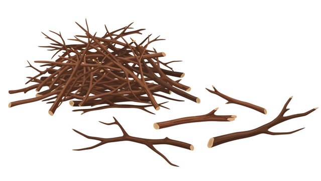 A chaotic heap of dry, brown twigs sits intertwined behind a few scattered broken branches, illustrating the brittle kindling gathered to start a fire.