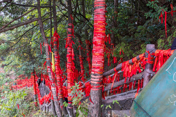 Tianzi, Hunan, China. 11-08-2024. Red ribbons tied to the trees in  the Tianzi Mountains (Avatars Mountains) in Zhangjiajie National Forest Park in Hunan, China.